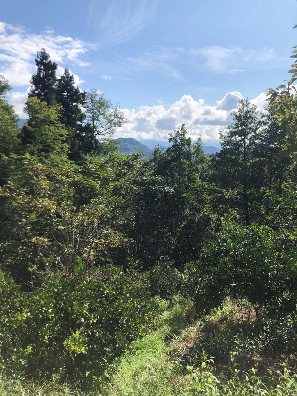 Land For Sale In Batumi, 1,500 M² For $110,250 view 9