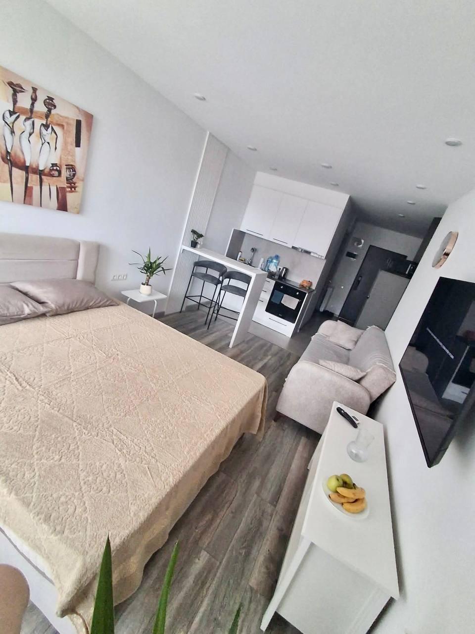 Studio Apartment For Rent In Batumi, BlueSky Tower view 2