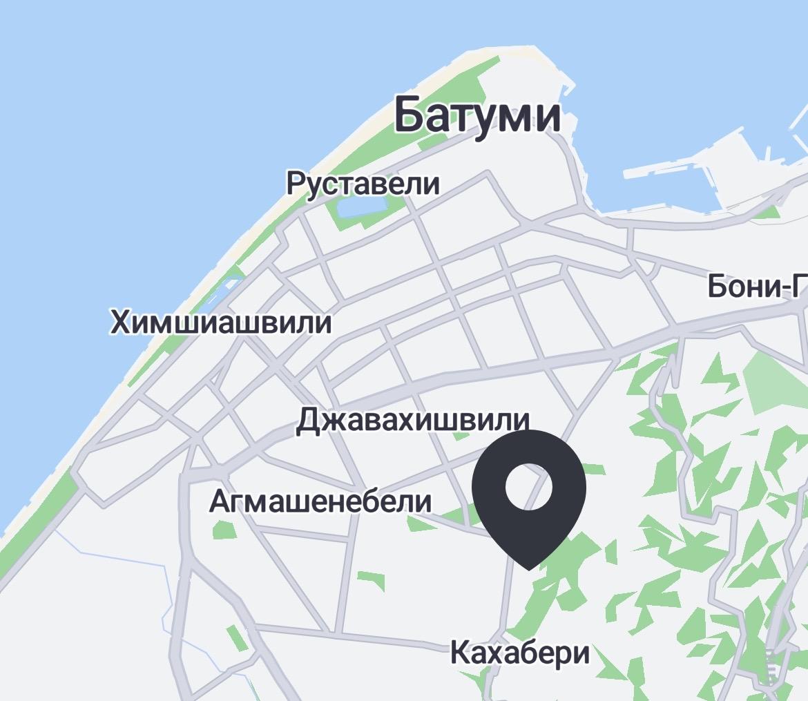 8-Room House For Rent In Batumi, Mamia Varshanidze St, 217 view 19