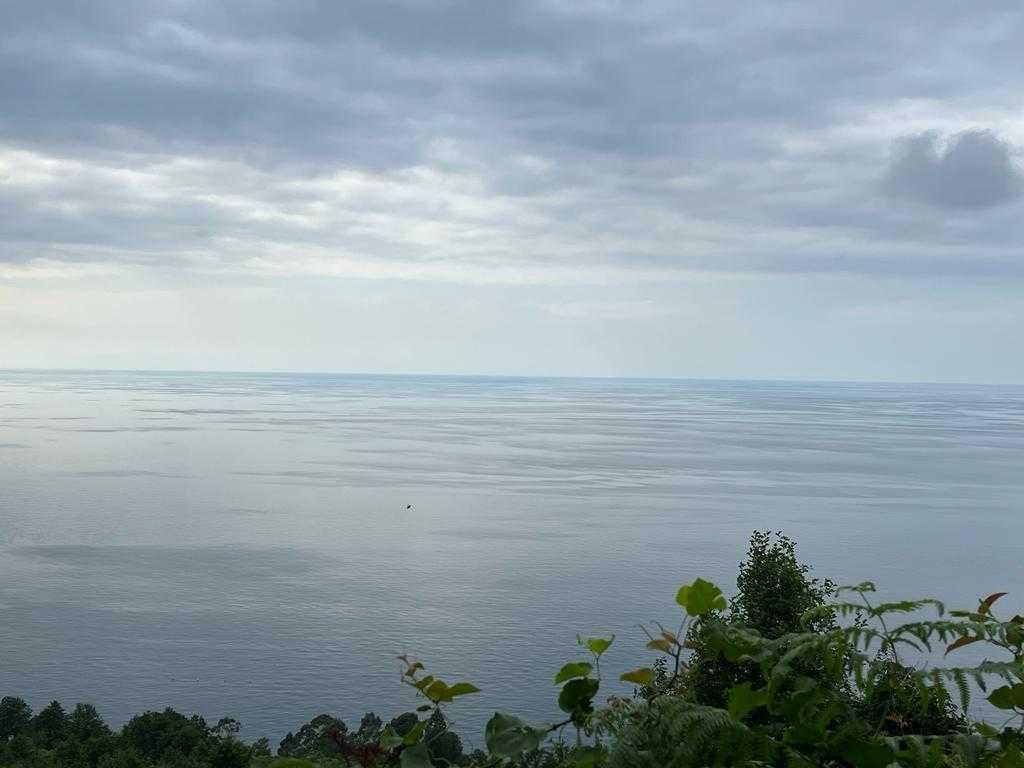 Land For Sale In Batumi, 1,500 M² For $150,000 view 3