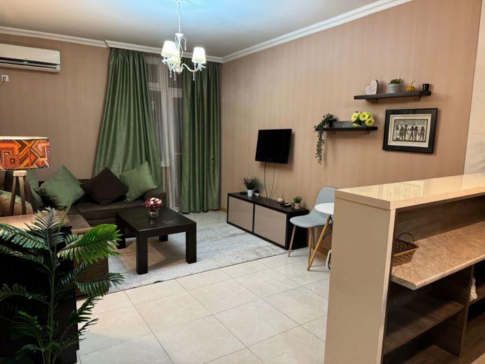 2-Room Apartment For Rent In Tbilisi, Nikoloz (Karlo) Chkheidze St view 1