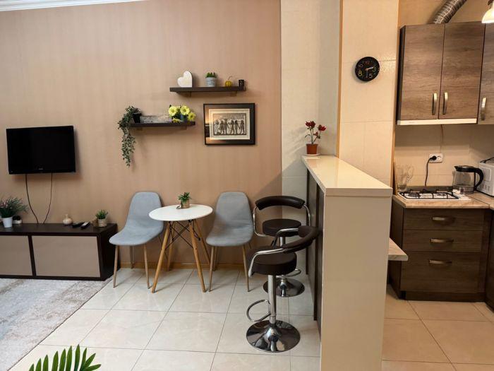 2-Room Apartment For Rent In Tbilisi, Nikoloz (Karlo) Chkheidze St view 3