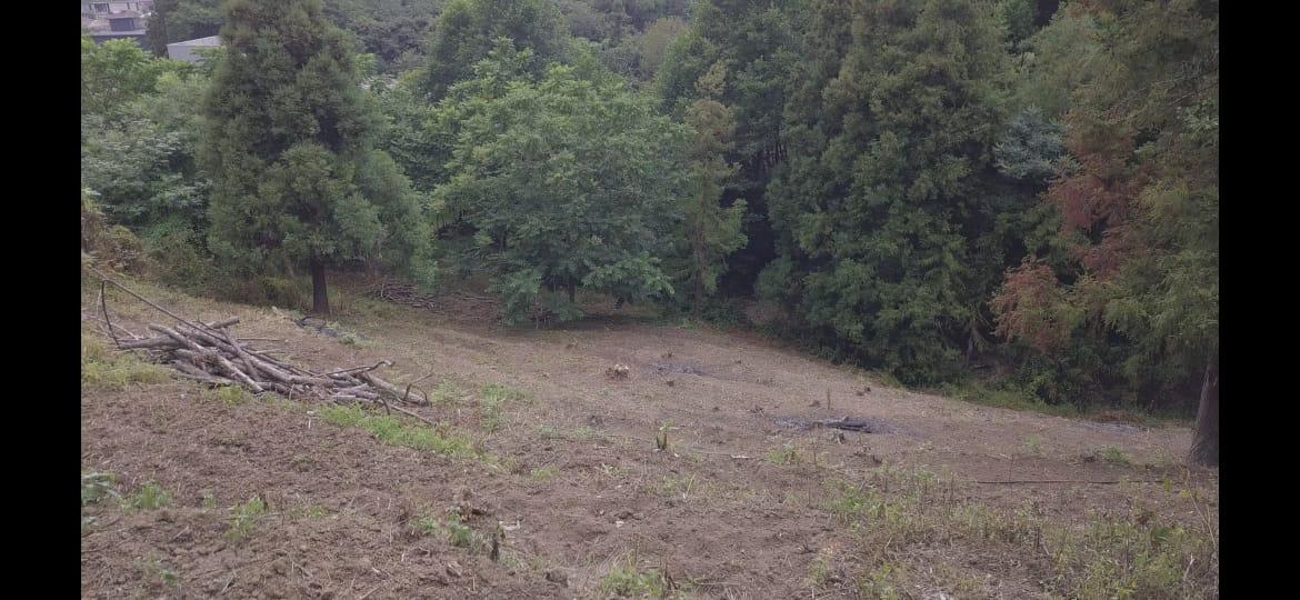 Land For Sale In Batumi, 1,900 M² For $285,000 view 3