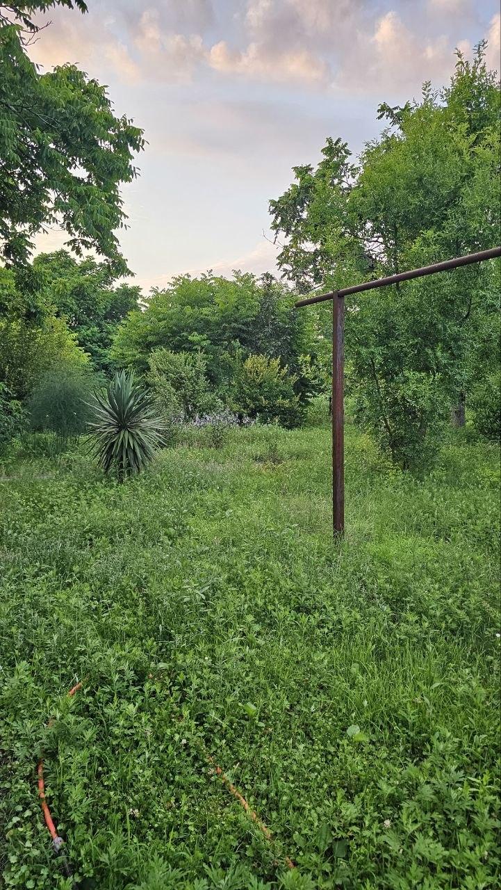 Продажа 5-Room House в In Ureki, Квавилнари, 50 view 27