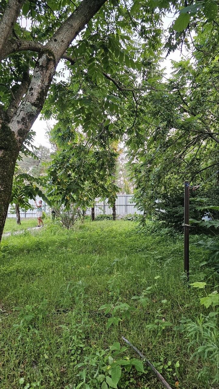 Продажа 5-Room House в In Ureki, Квавилнари, 50 view 28