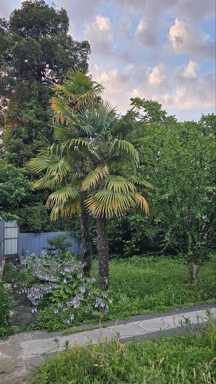 Продажа 5-Room House в In Ureki, Квавилнари, 50 view 30