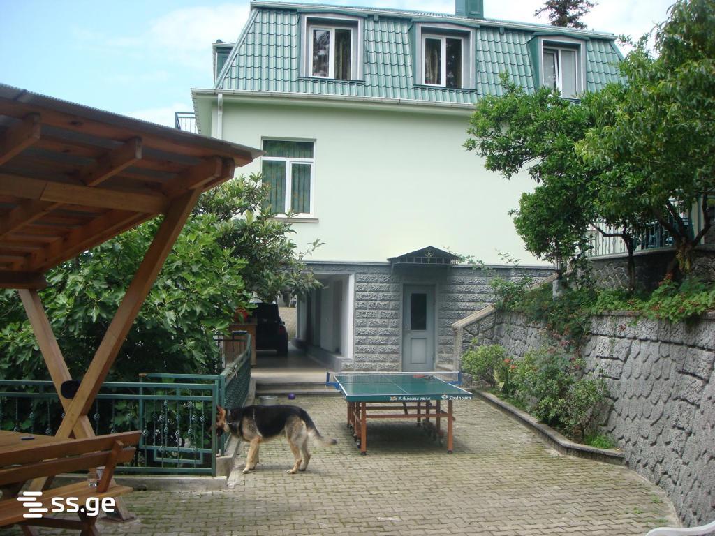 7-Room House For Rent In Batumi, Mtsvane Kontskhi, 10 view 2