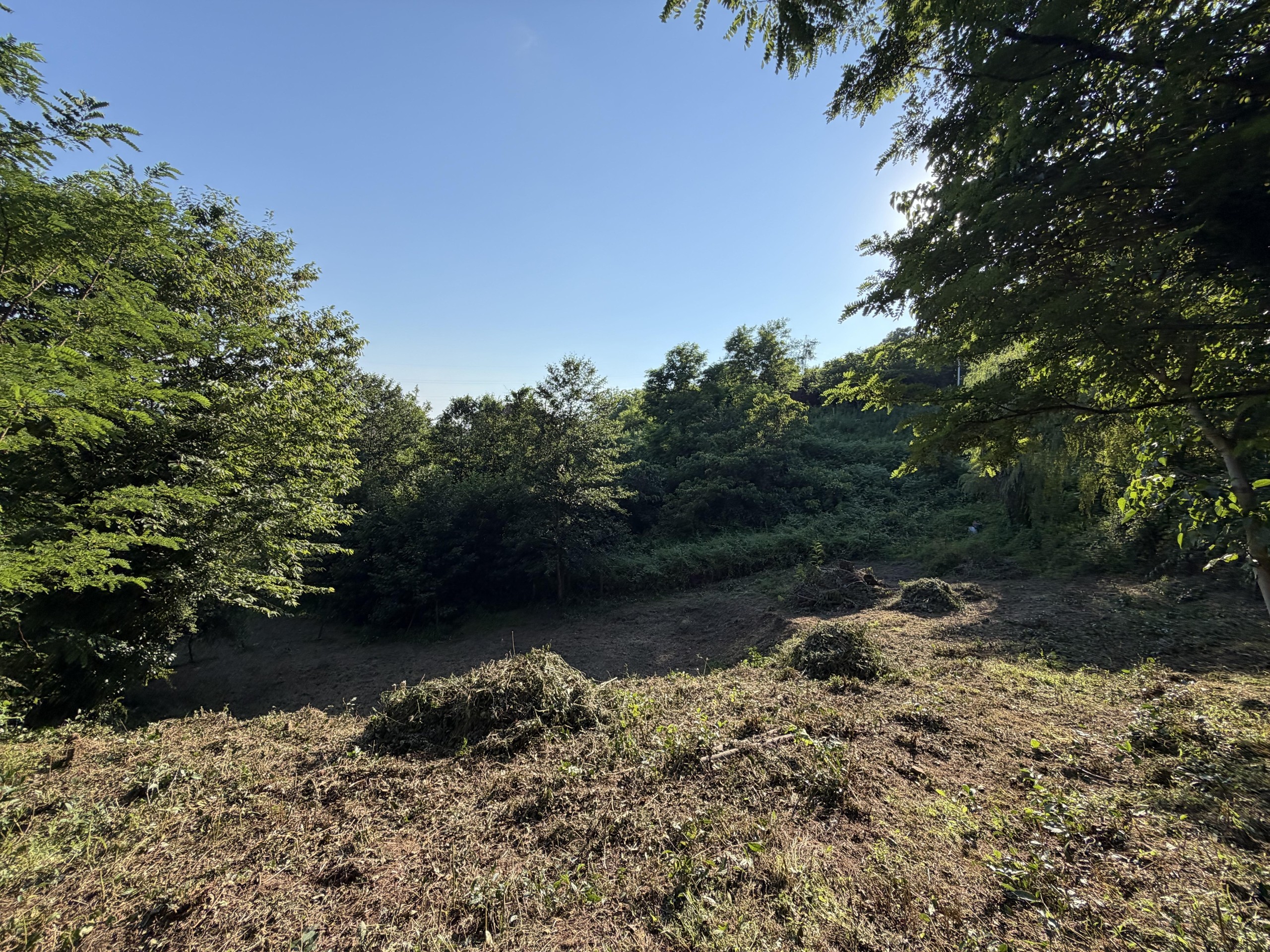 Land For Sale In Batumi, 642 M² For $77,000 view 6