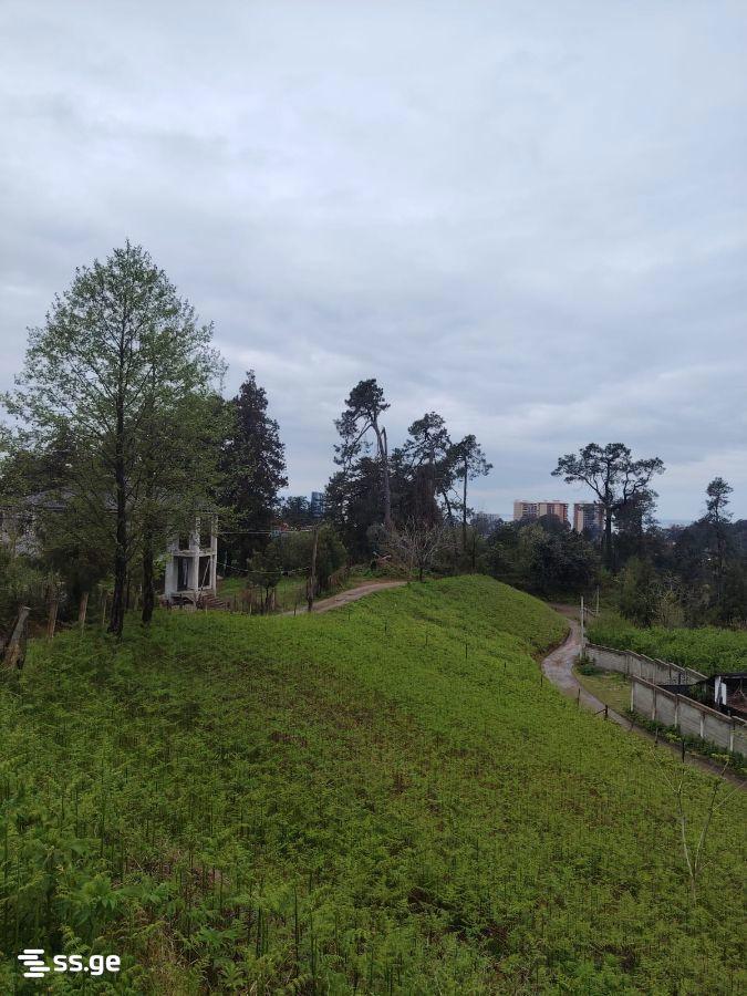 Land For Sale In Batumi, 1,700 M² For $93,500 view 12