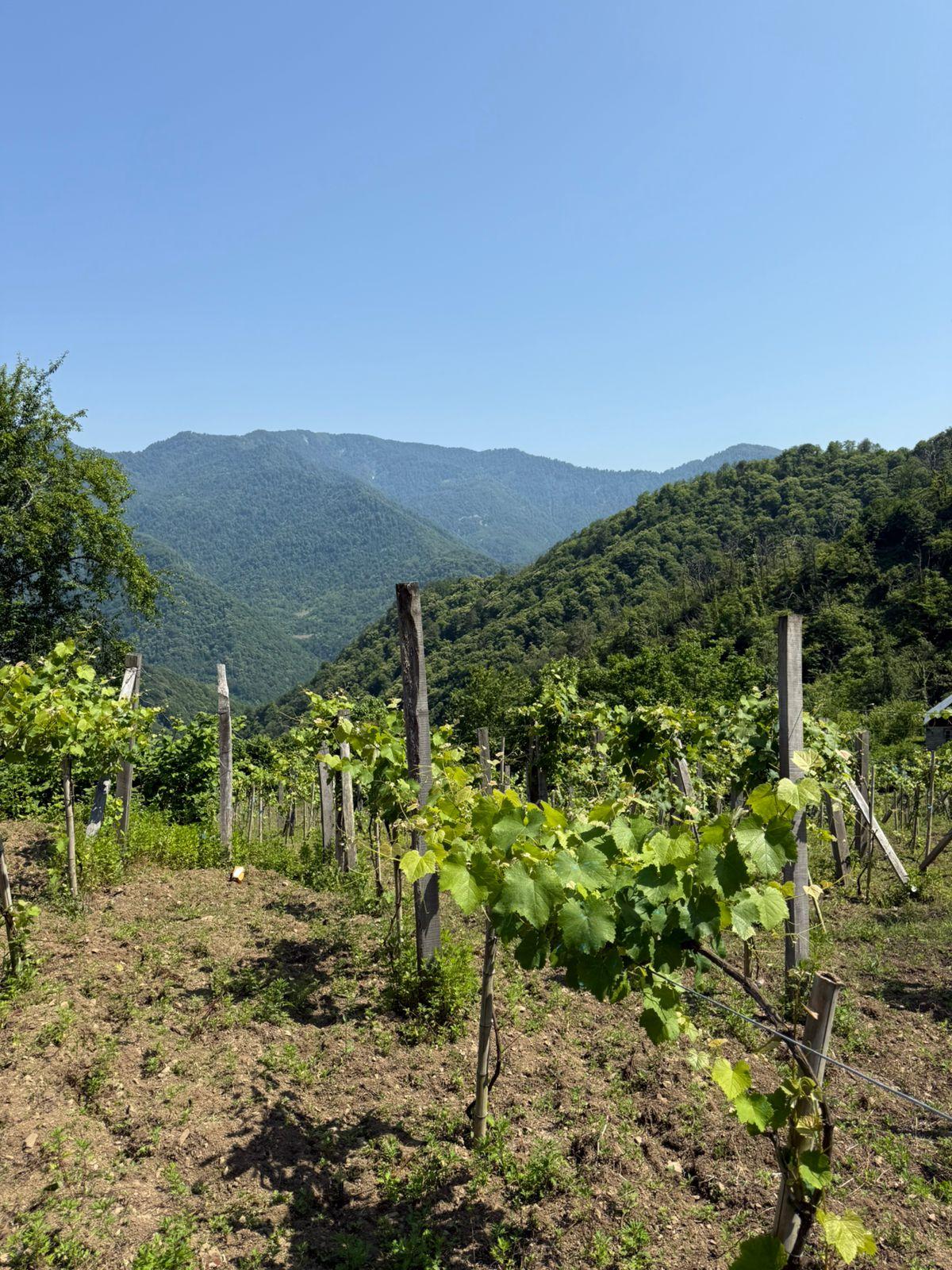 7-Room House For Sale In Batumi, Keda St view 1
