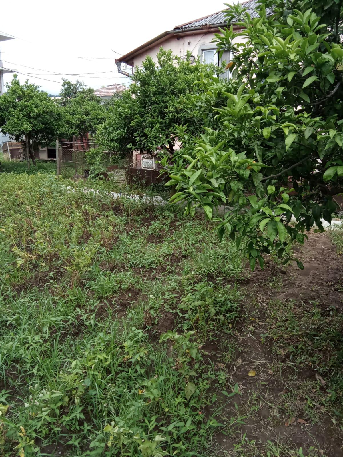 3-Room House For Sale In Batumi, Khakhuli St, 89 view 7