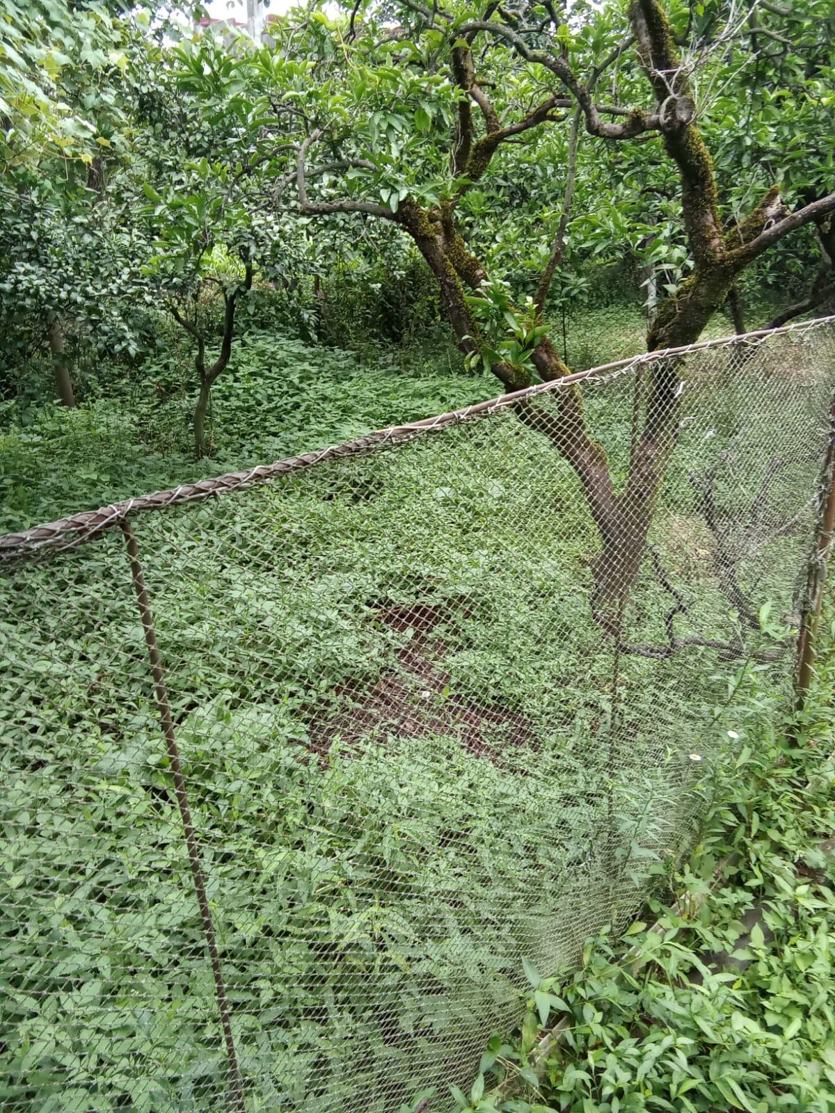 Land For Sale In Batumi, 1,559 M² For $389,750 view 3