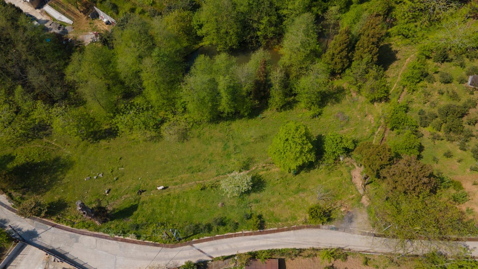 Land For Sale In Batumi, 4,000 M² For $350,000 view 4