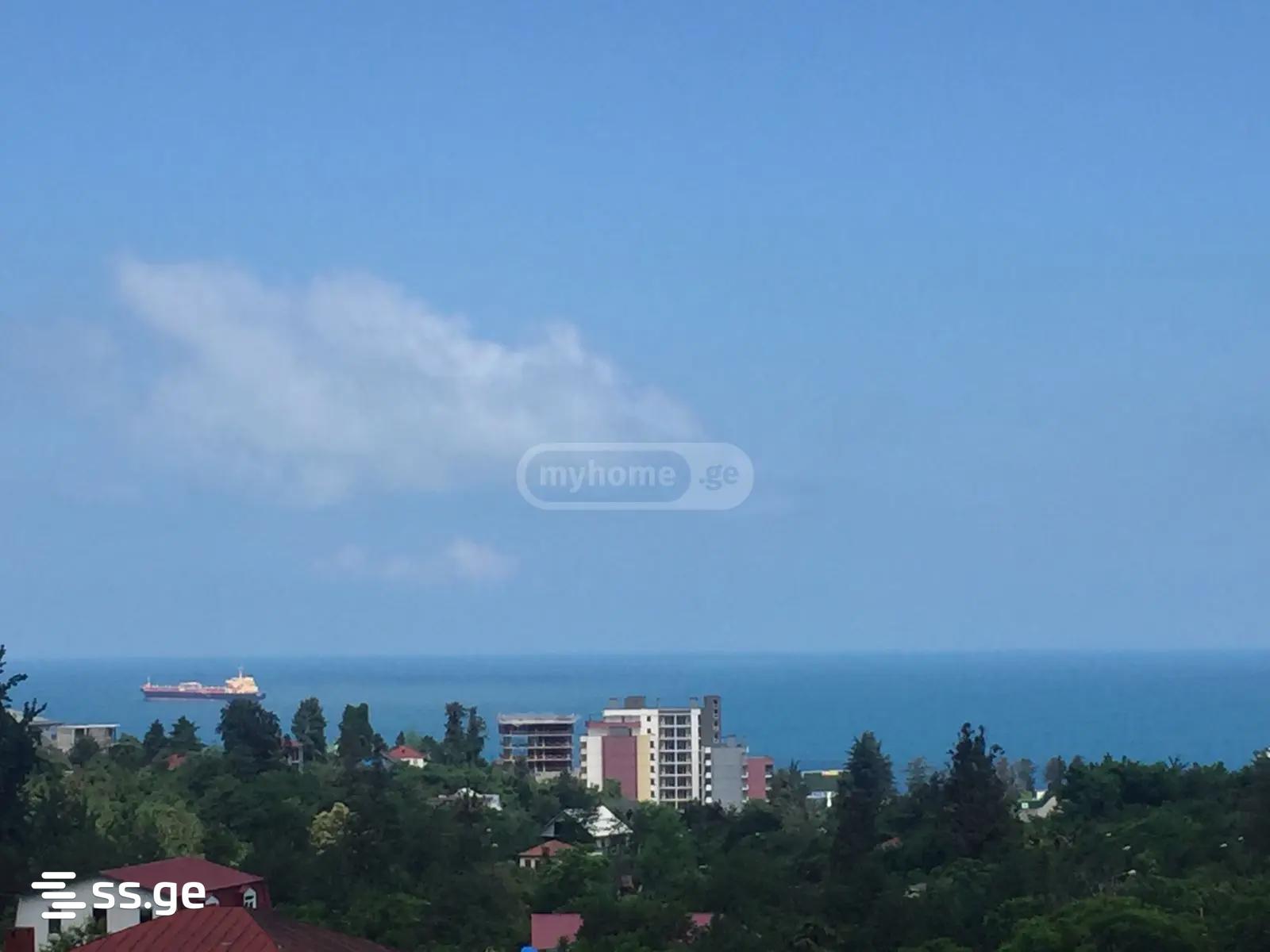 1-Room House For Rent In Batumi, Mtsvane Kontskhi , 2 view 9