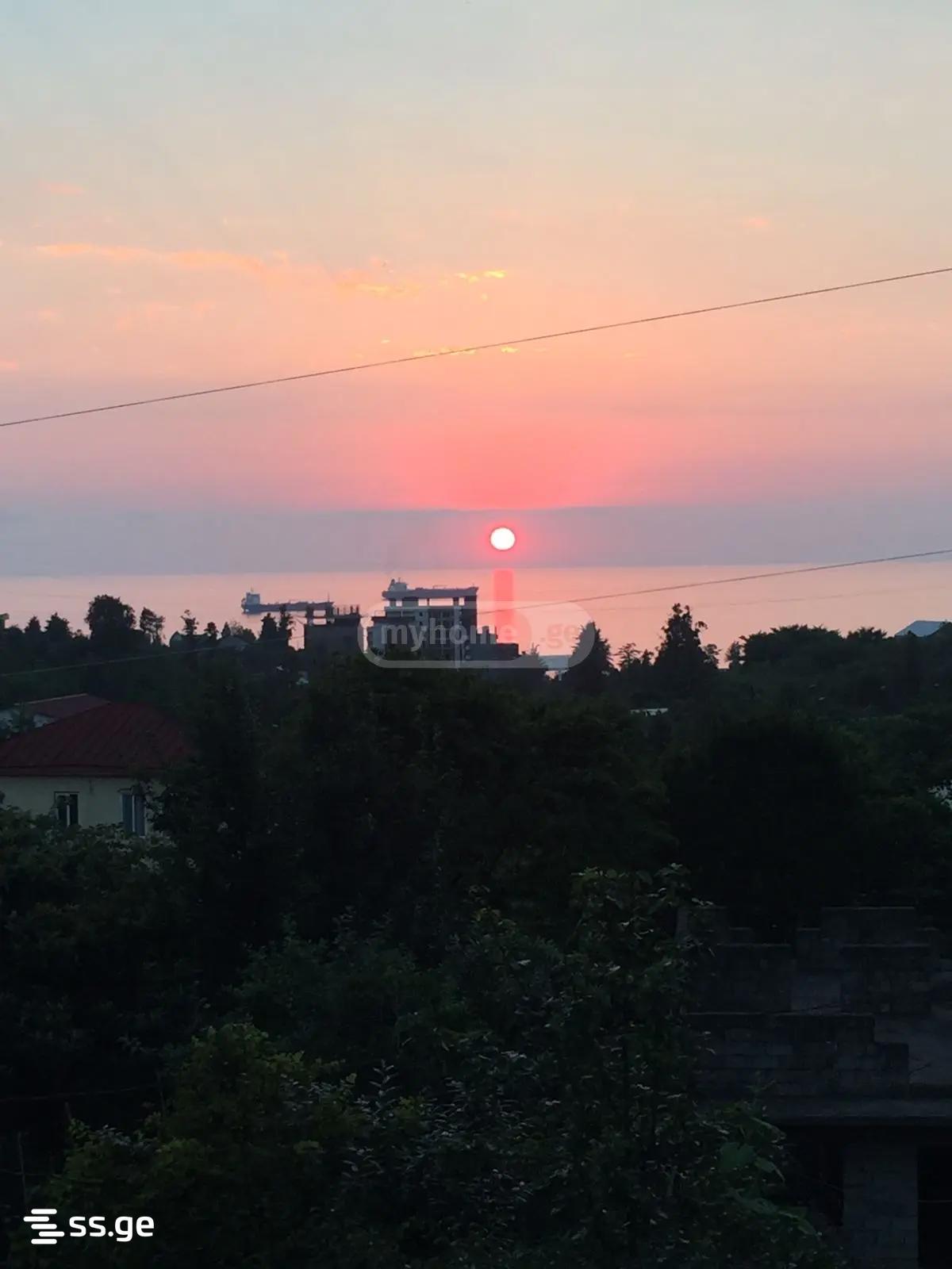 1-Room House For Rent In Batumi, Mtsvane Kontskhi , 2 view 8