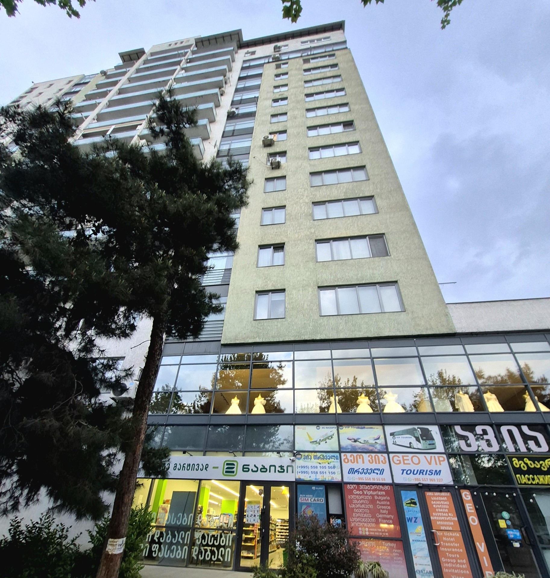Ortachala Residence: Studio, 100.0 M² | Korter.Ge view 12