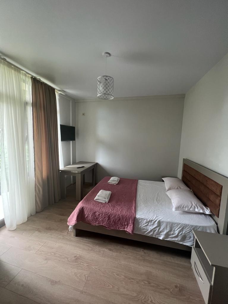 5-Room House For Rent In Batumi, Bartskhana Bridge view 11