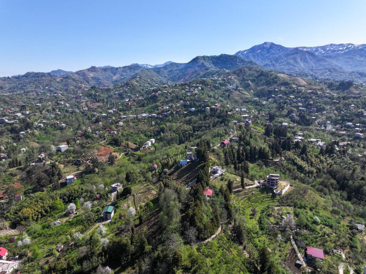 Land For Sale In Batumi, 1,362 M² For $120,000 view 9