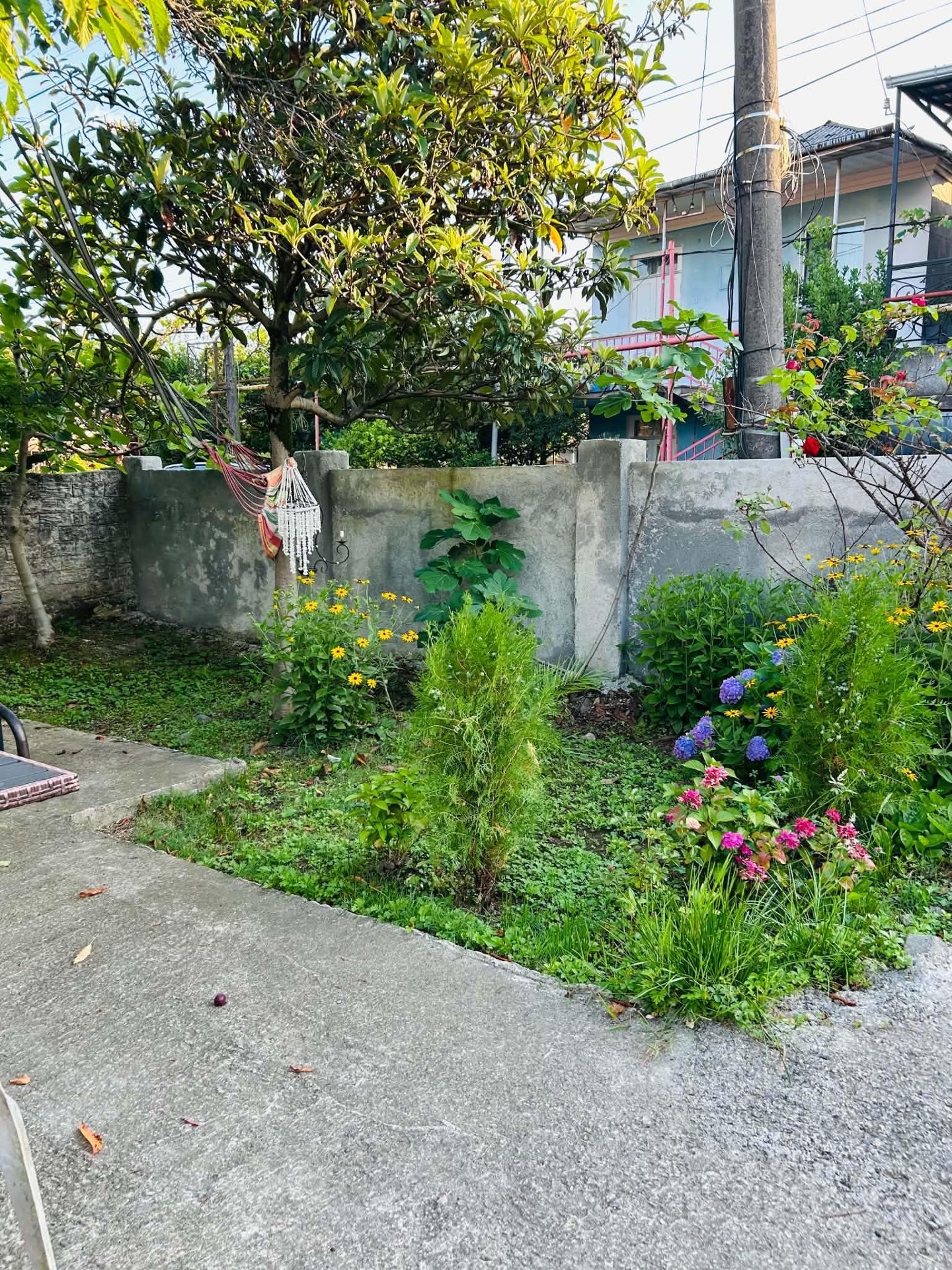 3-Room House For Sale In Batumi, David Bakradze St, 25a view 7