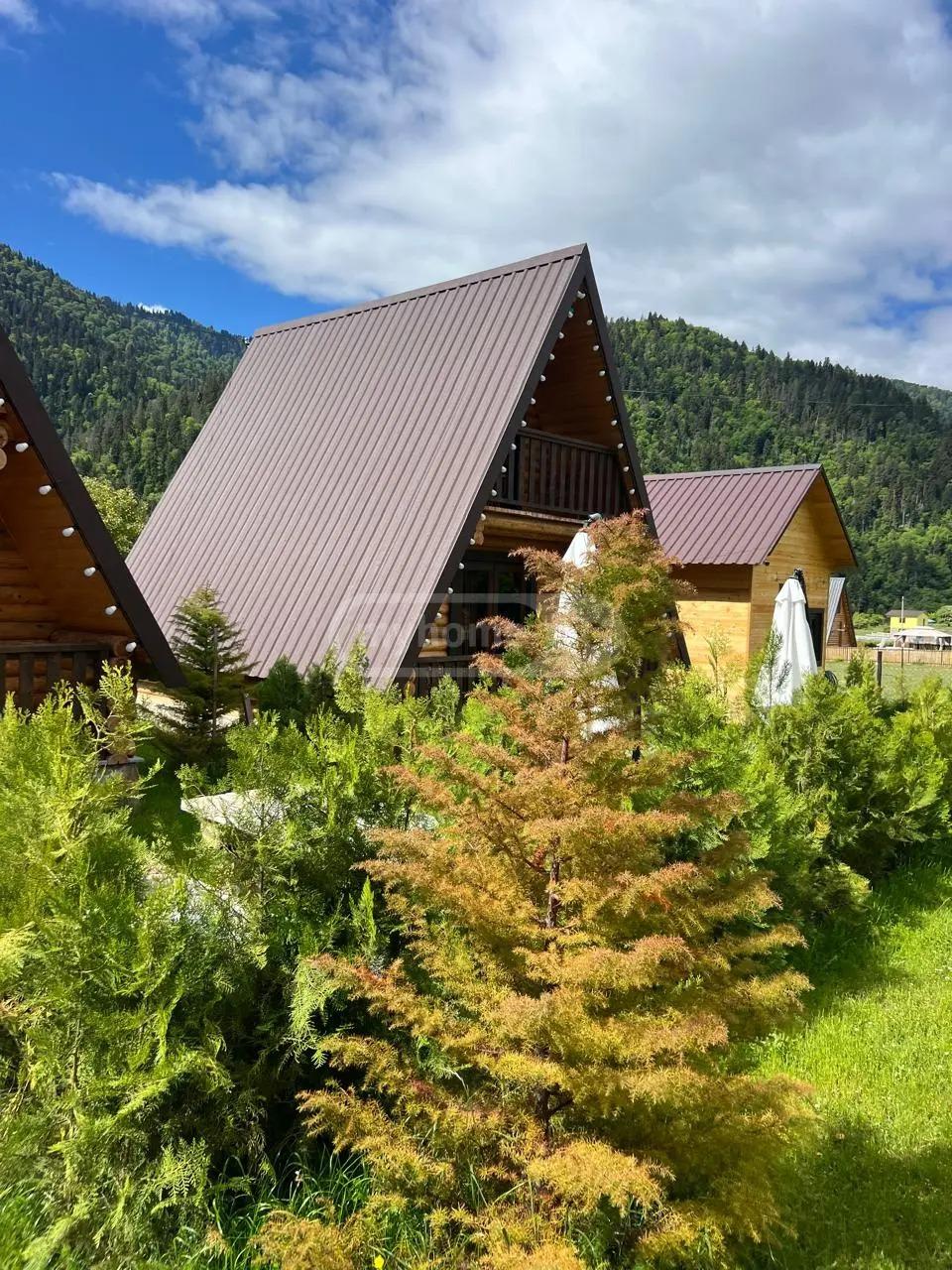 Commercial Property For Sale: 1,134 M² In Borjomi, Sadgeri St – $700,000 view 3