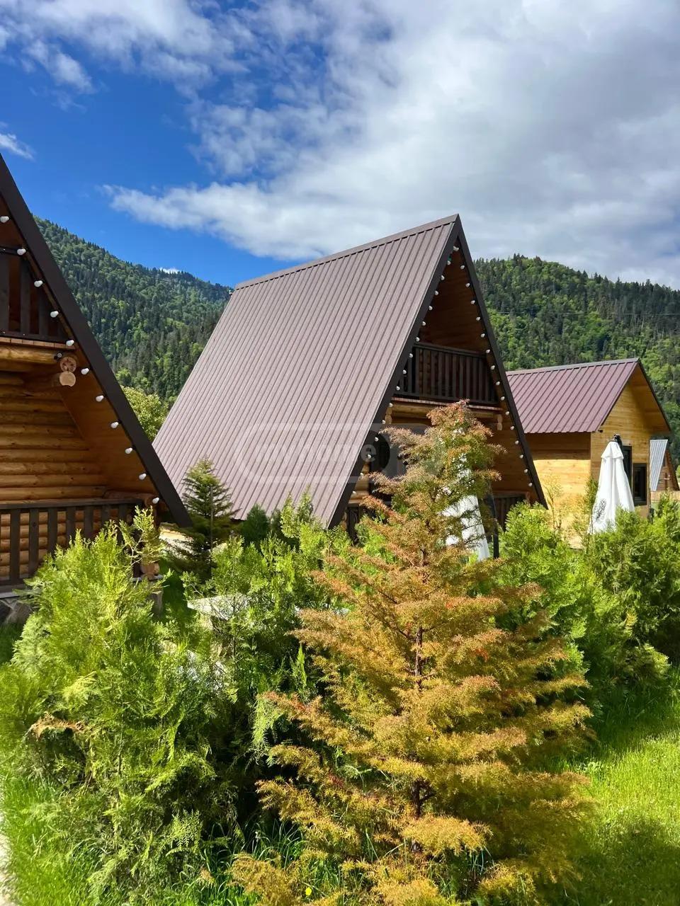 Commercial Property For Sale: 1,134 M² In Borjomi, Sadgeri St – $700,000 view 4