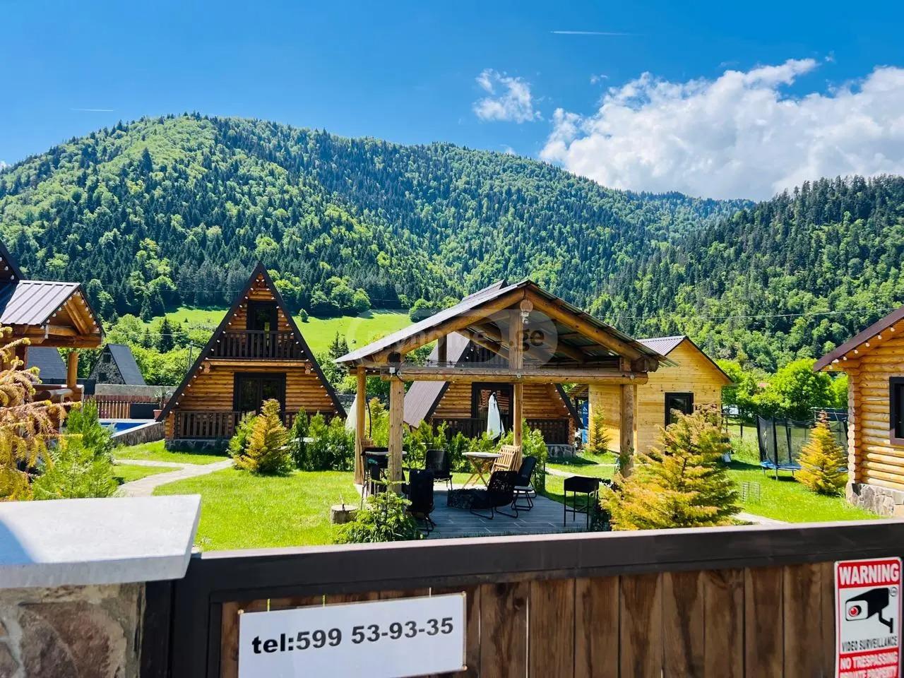 Commercial Property For Sale: 1,134 M² In Borjomi, Sadgeri St – $700,000 view 6