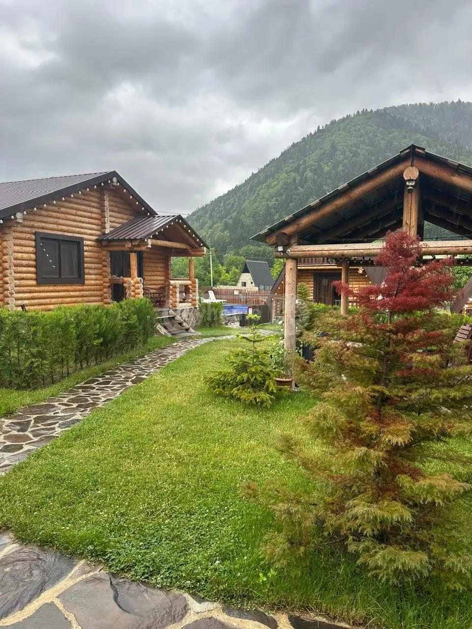 Commercial Property For Sale: 1,134 M² In Borjomi, Sadgeri St – $700,000 view 9