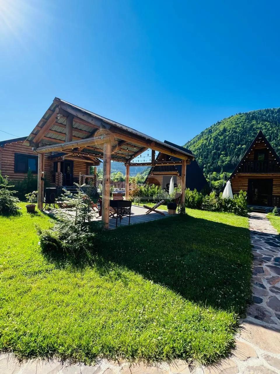 Commercial Property For Sale: 1,134 M² In Borjomi, Sadgeri St – $700,000 view 11