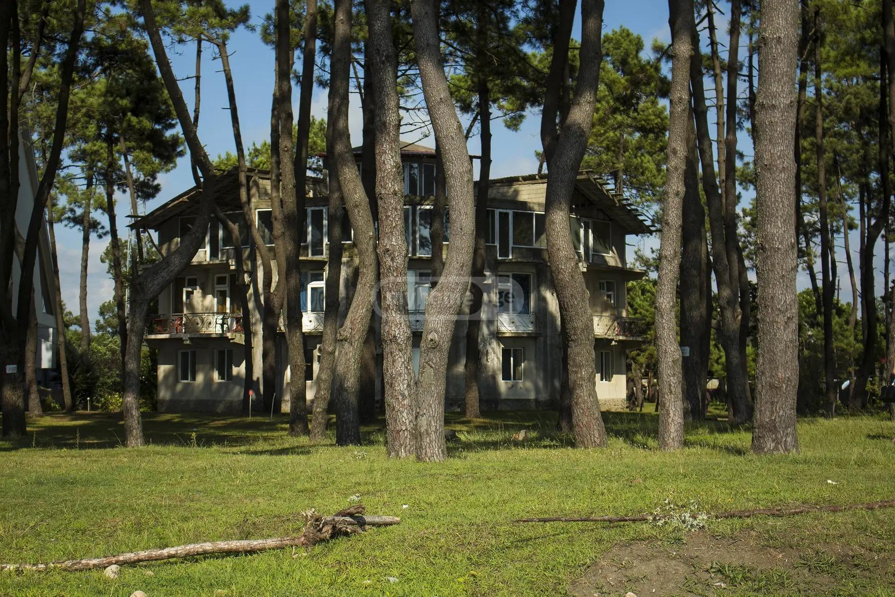 Commercial Property For Sale: 7,313 M² In Ureki, Grigolet – $1,500,000 view 1