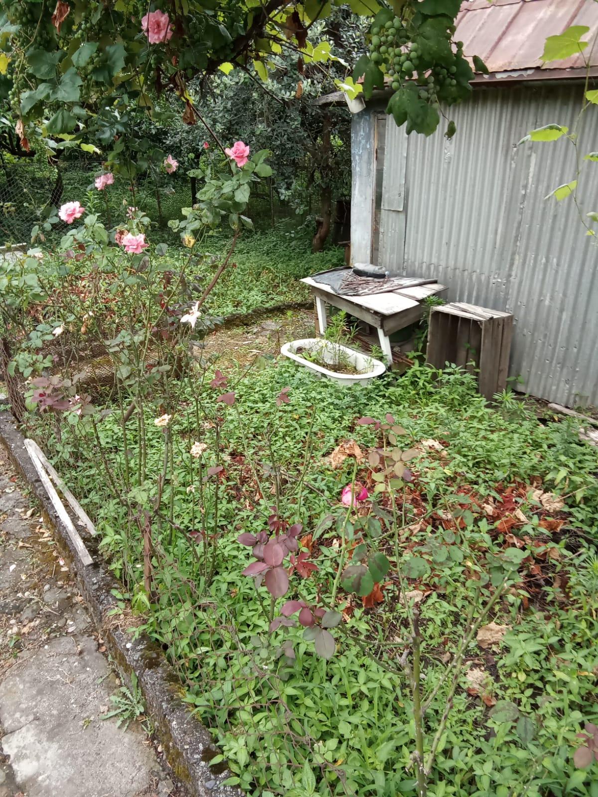 4-Room House For Sale In Batumi, David Aghmashenebeli St, 22 view 17