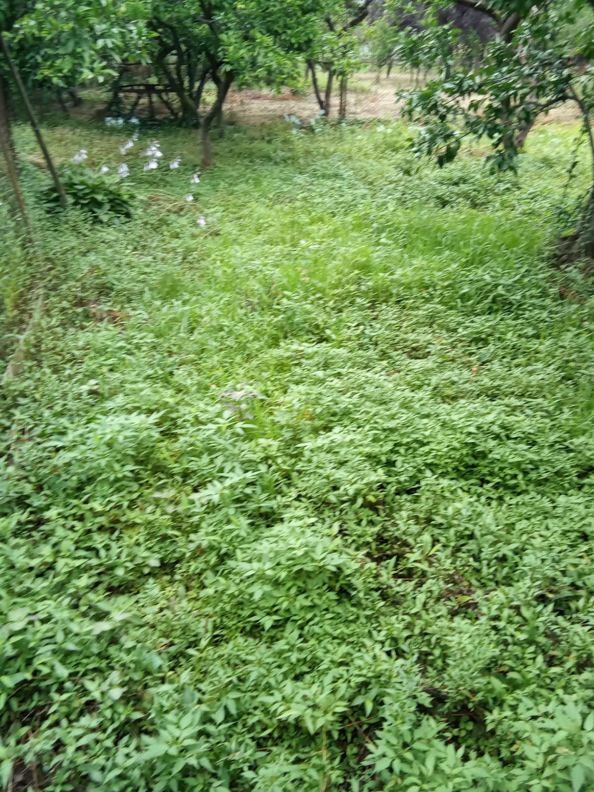 4-Room House For Sale In Batumi, David Aghmashenebeli St, 22 view 23