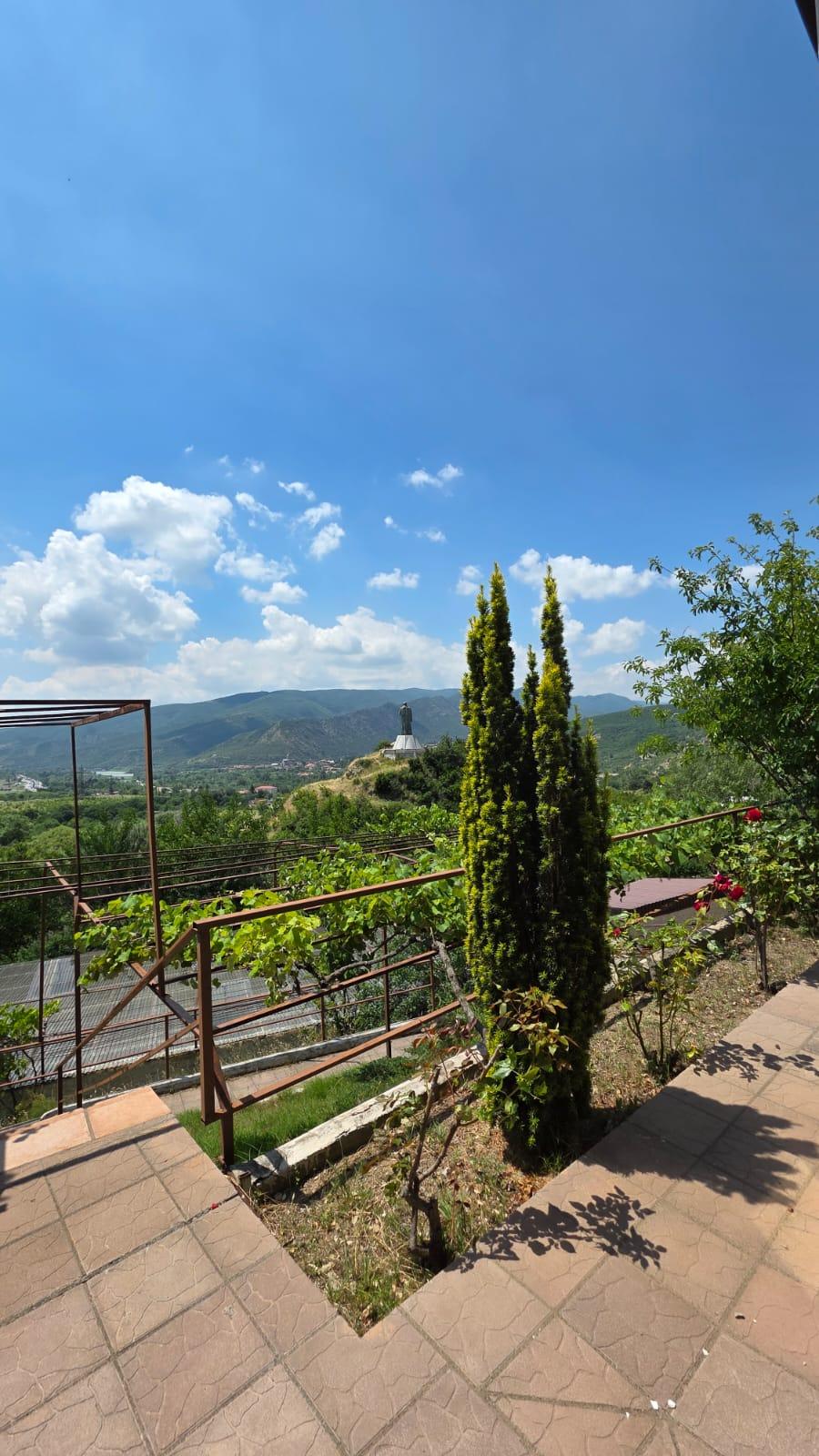 Commercial Property For Sale: 800 M² In Mtskheta, Tsitsamuri-Saguramo-Tskhvarichamia – $1,500,000 view 8