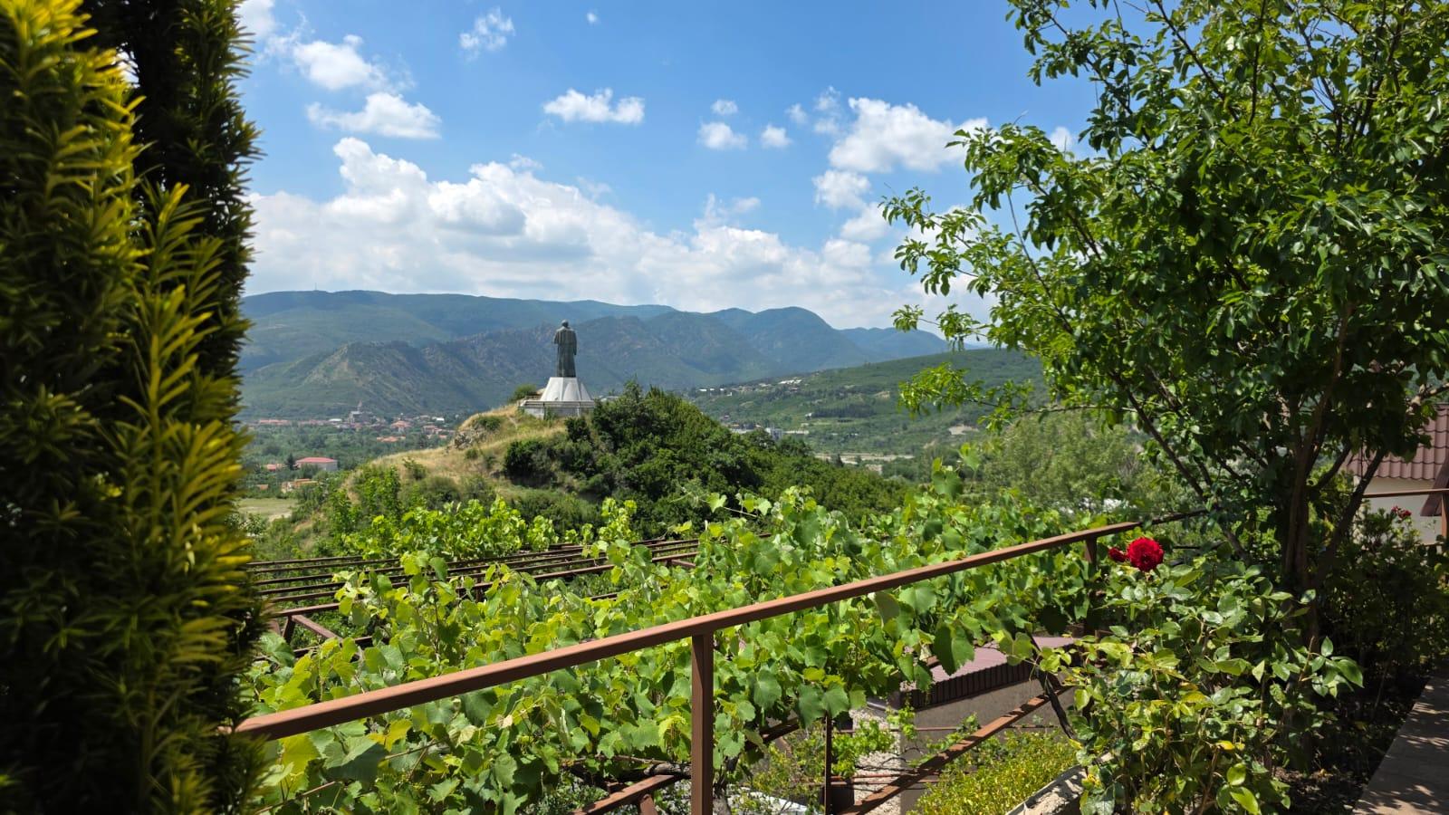 Commercial Property For Sale: 800 M² In Mtskheta, Tsitsamuri-Saguramo-Tskhvarichamia – $1,500,000 view 9