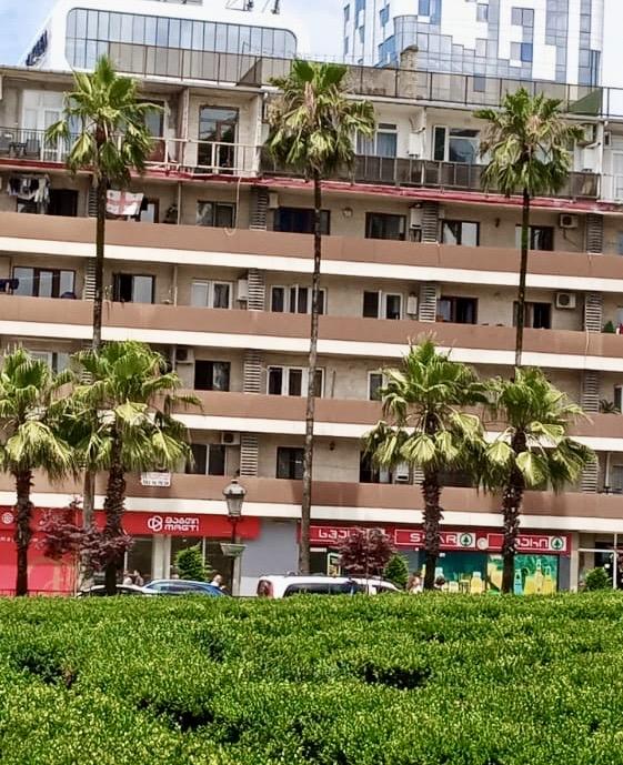 2-Room Apartment For Daily Rent In Batumi, Shota Rustaveli St, 10, 50 M² — 140 ₾ Per Day view 7