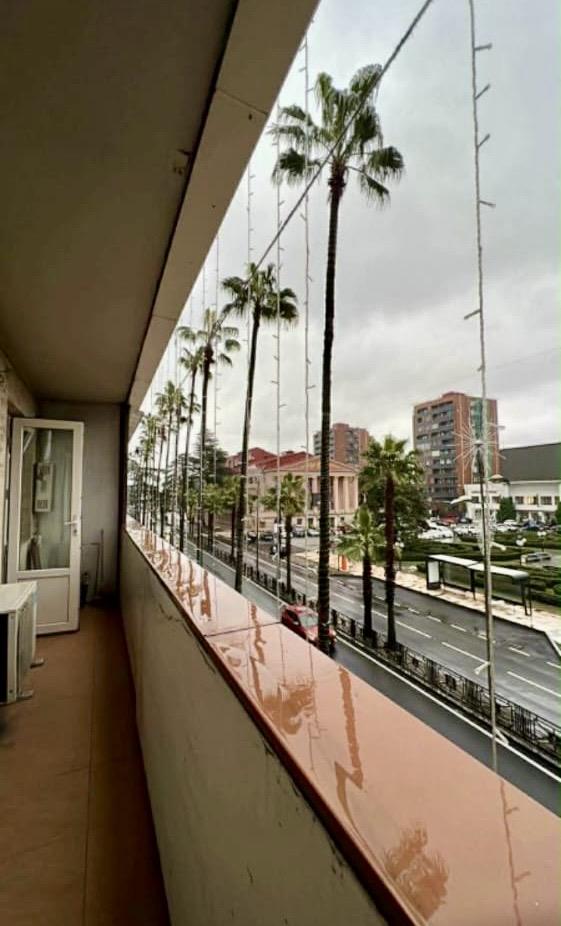 2-Room Apartment For Daily Rent In Batumi, Shota Rustaveli St, 10, 50 M² — 140 ₾ Per Day view 1