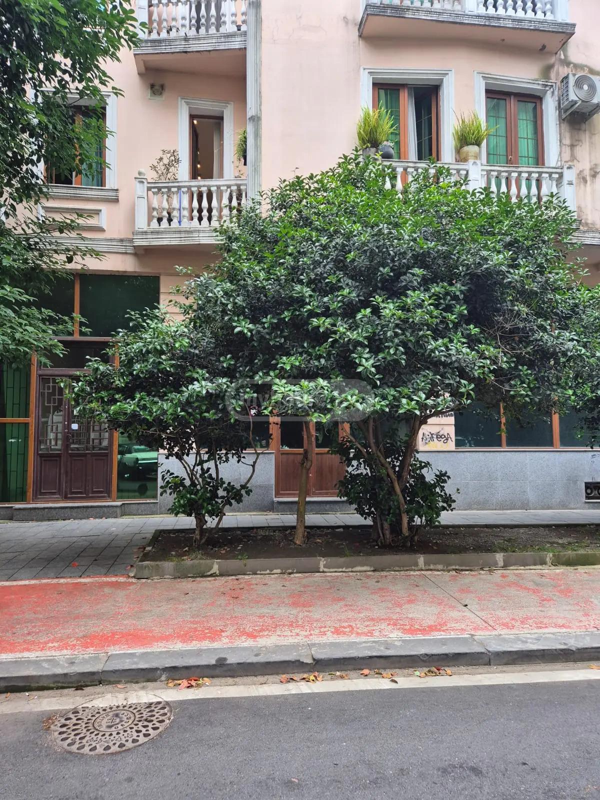 Commercial Property For Sale: 160 M² In Batumi, Vazha-Pshavela St – $900,000 view 2