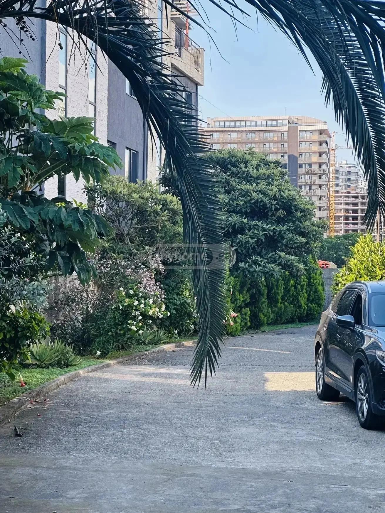 10-Room House In Batumi, Adlia St, 24, 30 M², Is Available For Daily Rent For 250 ₾ view 4