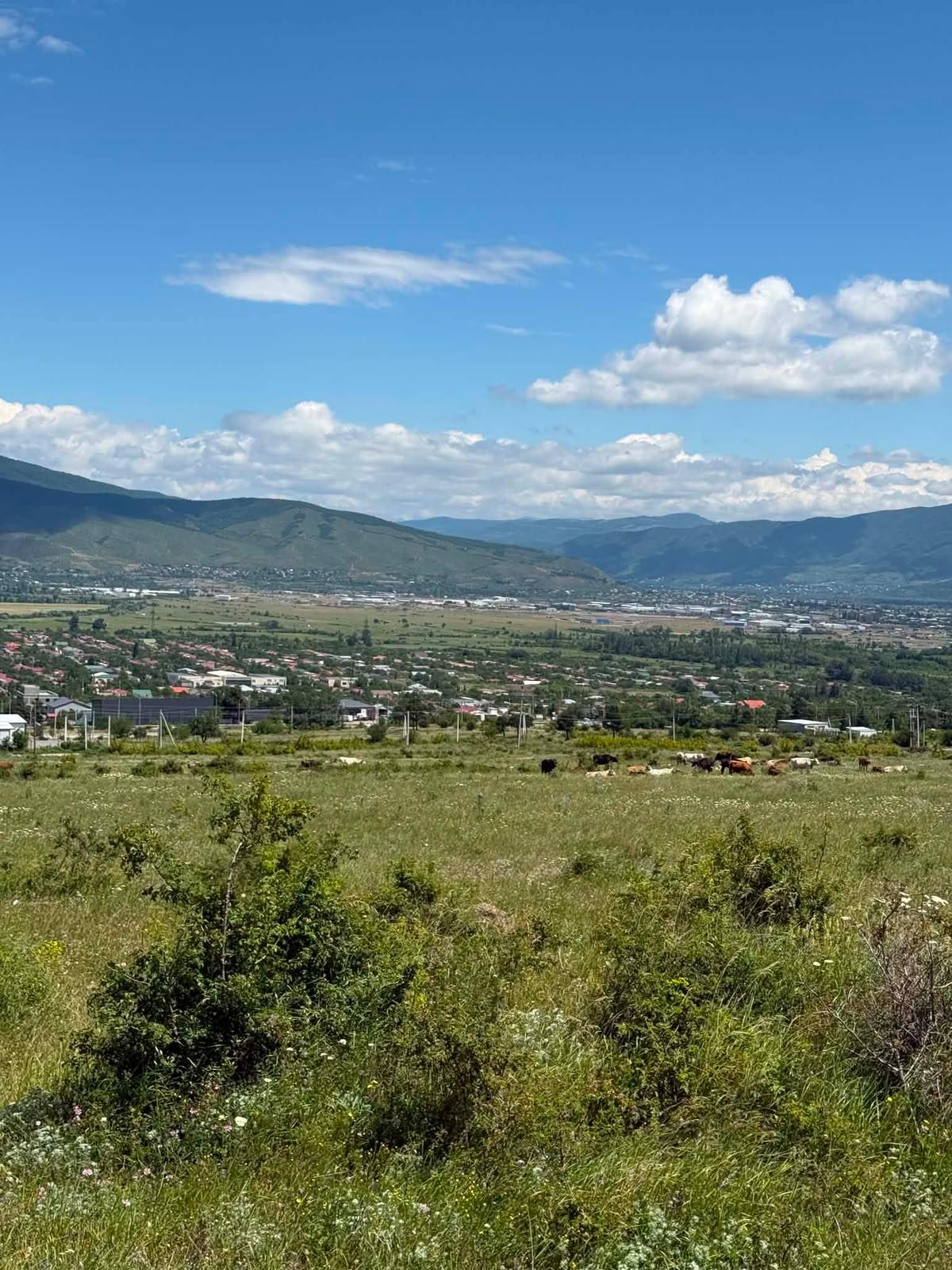 Commercial Property For Sale: 2,400 M² In Batumi, Vakhtang Gorgasali St, 66 – $2,650,000 view 3