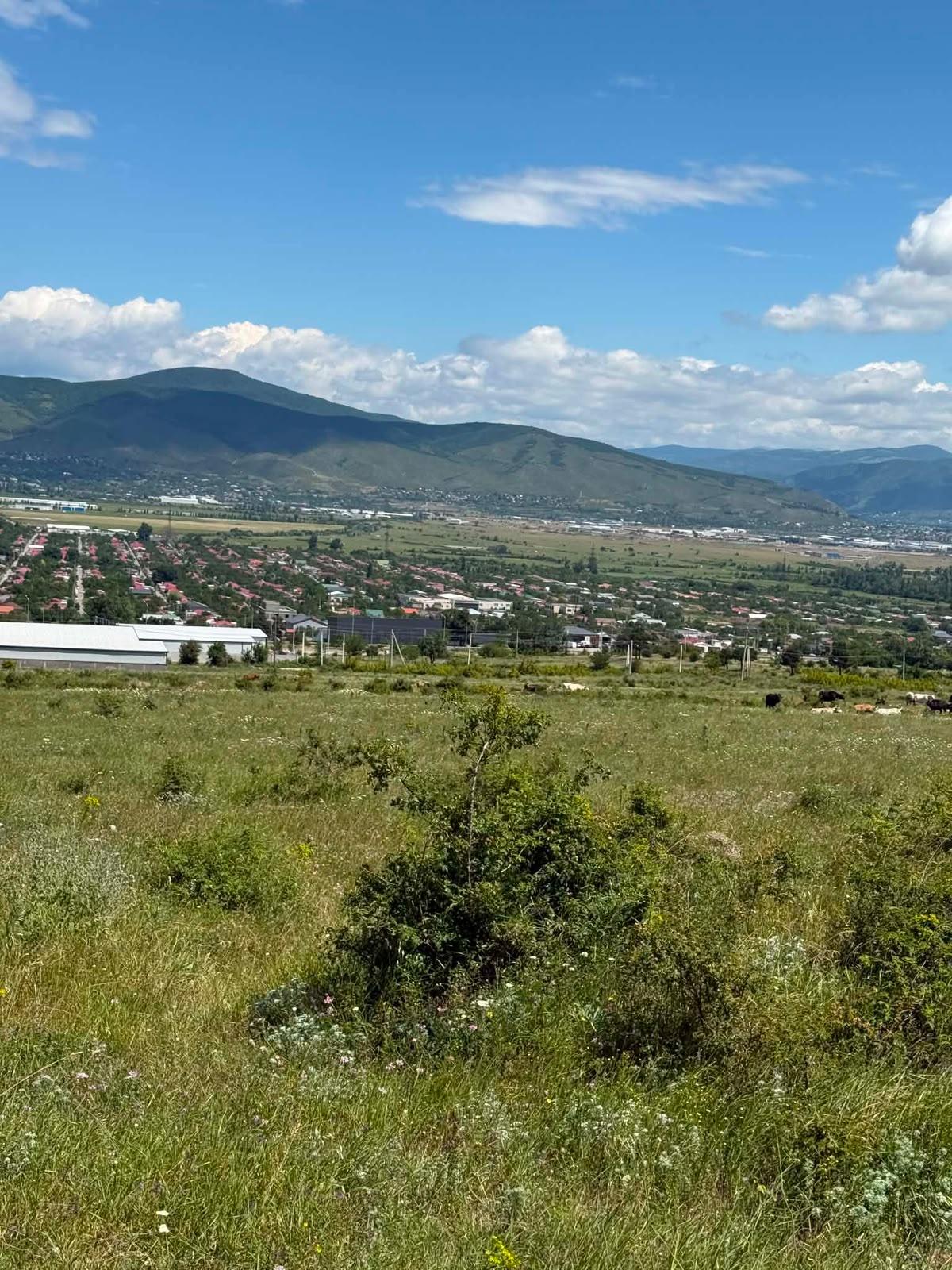 Commercial Property For Sale: 2,400 M² In Batumi, Vakhtang Gorgasali St, 66 – $2,650,000 view 2
