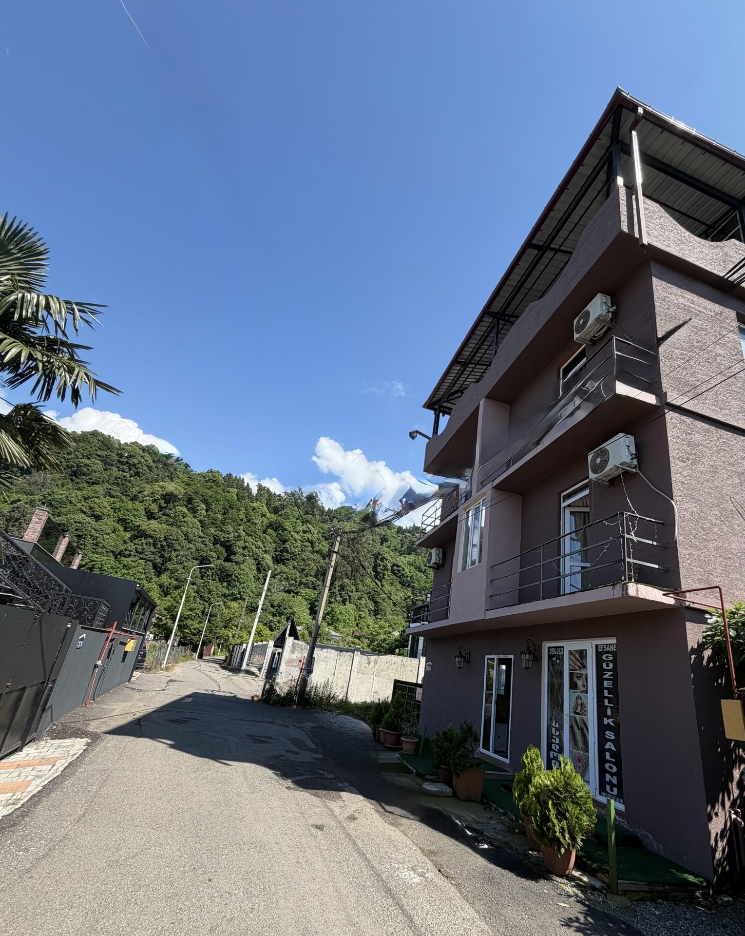 Commercial Property For Sale: 395 M² In Gonio, Tsminda Andria Pirveltsodebuli 1st Lane, 6b – $370,000 view 3