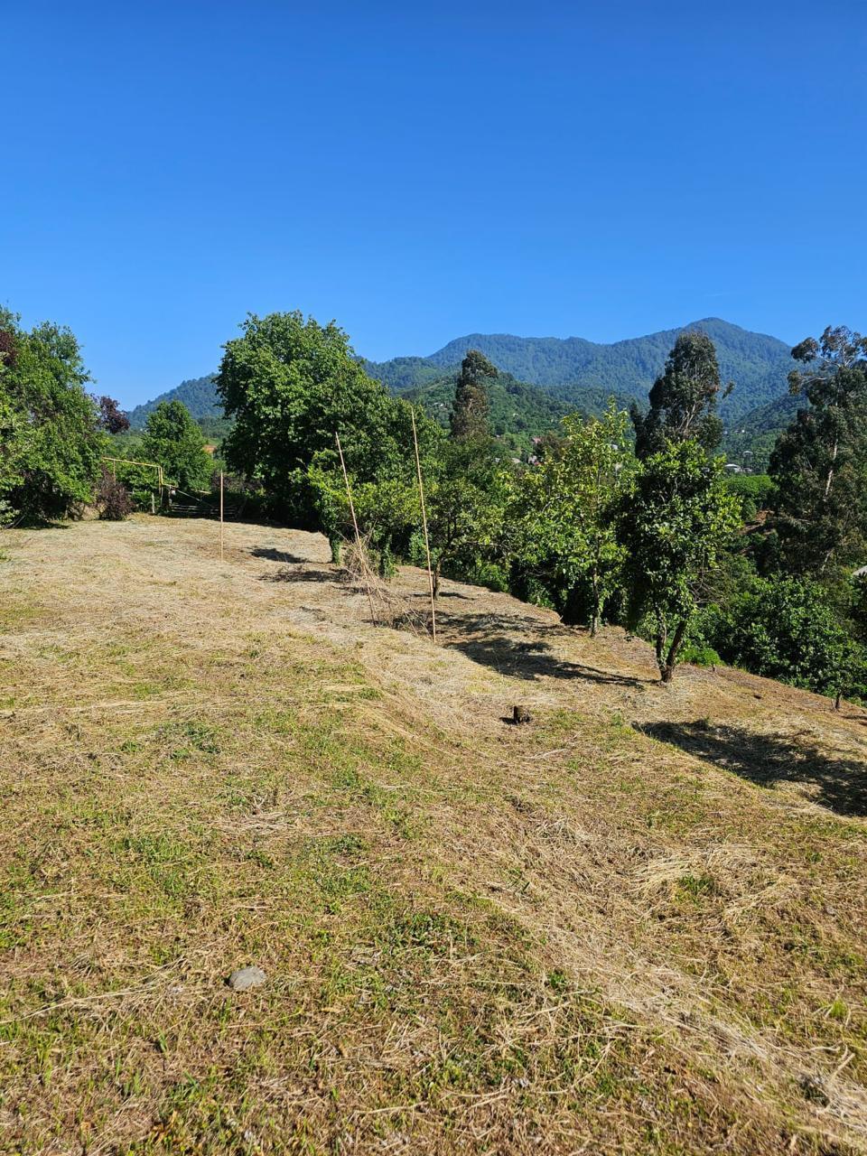 იყიდება მიწა In Chakvi, 3, 900 M² For $292, 500ში view 3