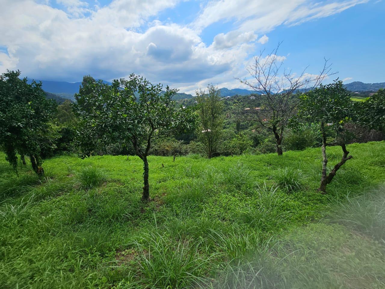 იყიდება მიწა In Chakvi, 3, 900 M² For $292, 500ში view 2