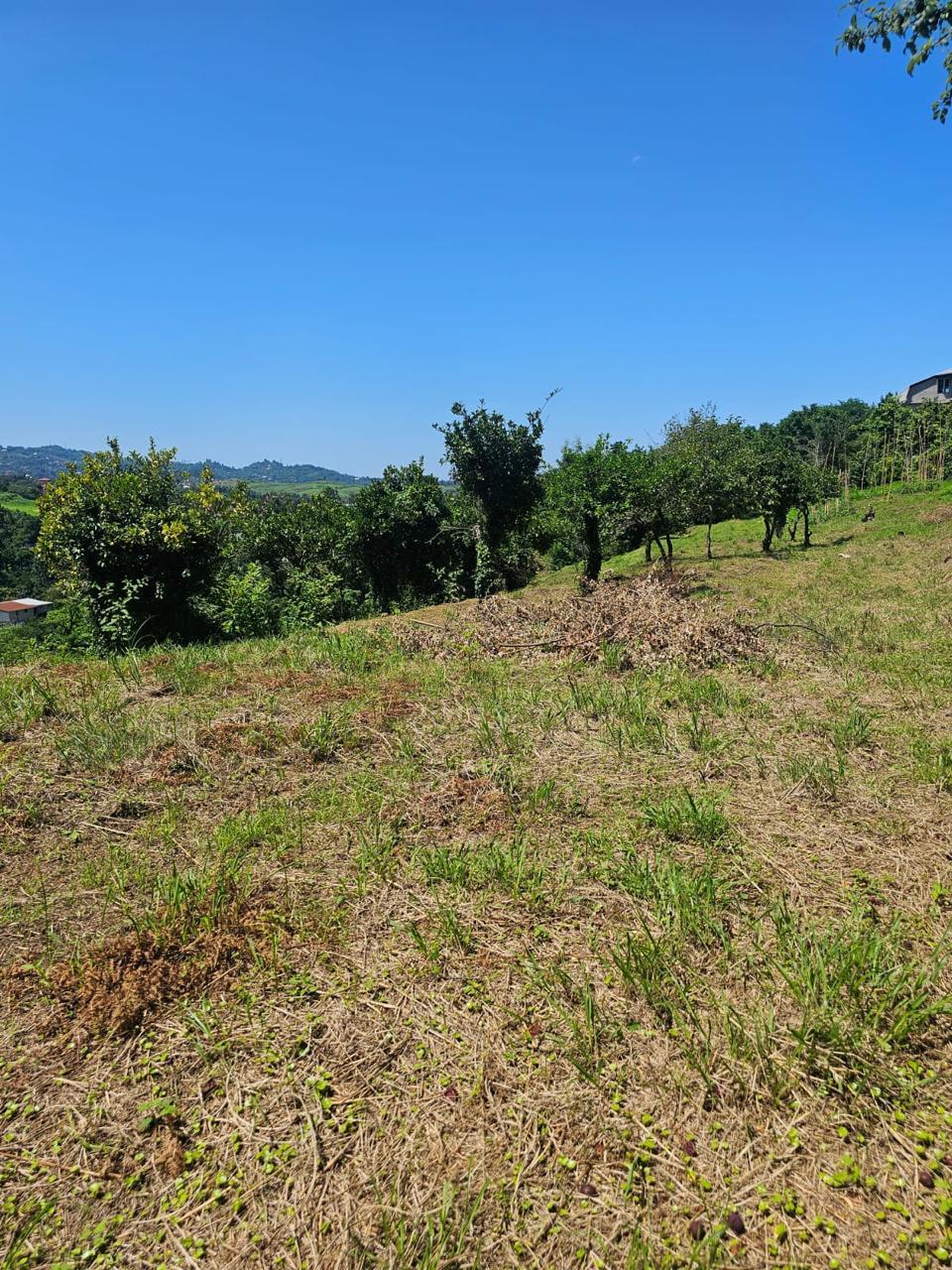 იყიდება მიწა In Chakvi, 3, 900 M² For $292, 500ში view 1