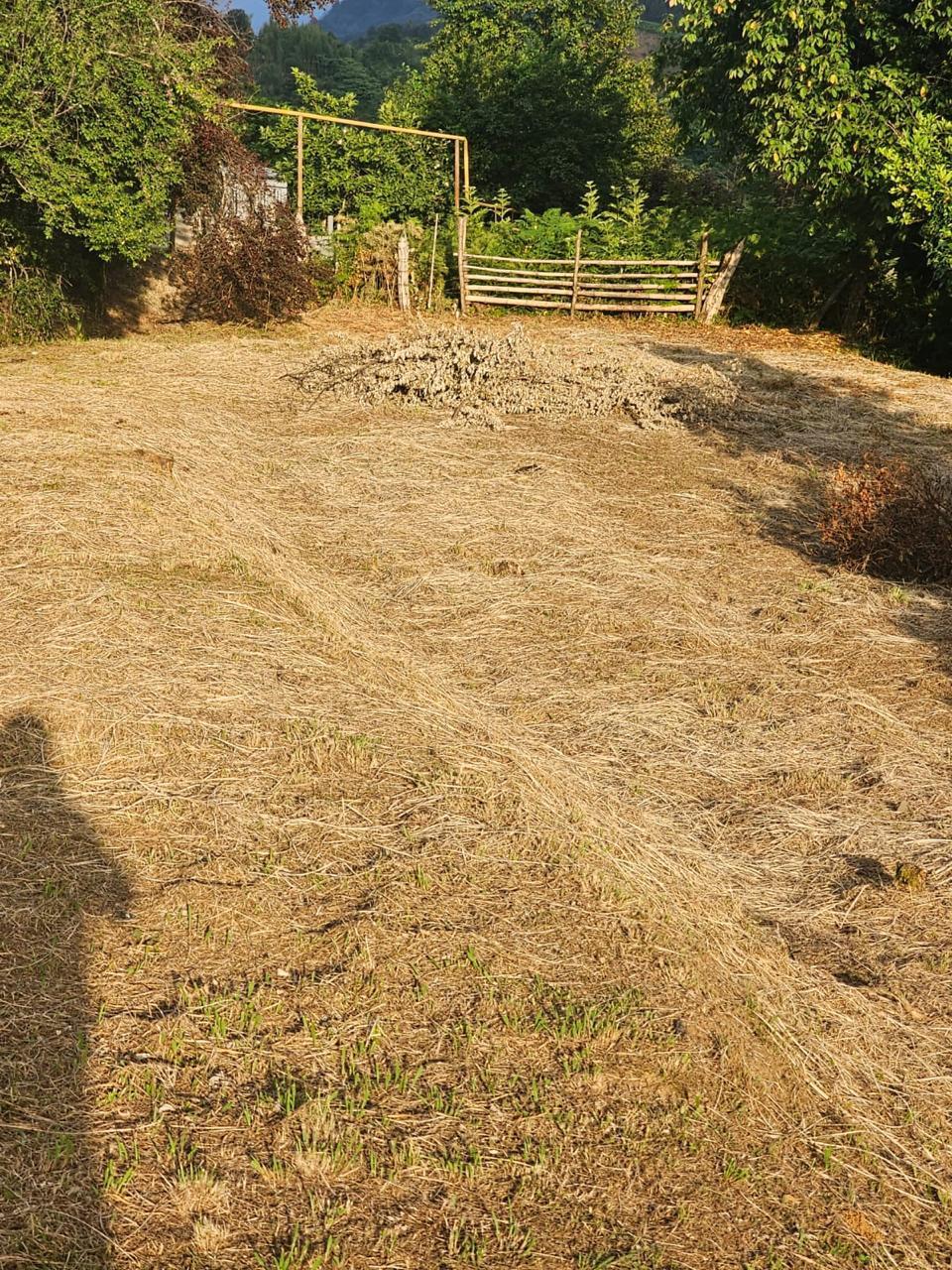 იყიდება მიწა In Chakvi, 3, 900 M² For $292, 500ში view 6