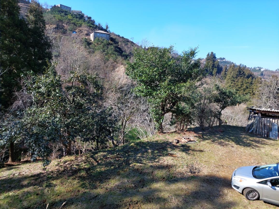 Land For Sale In Chakvi, 5,181 M² For $95,000 view 3