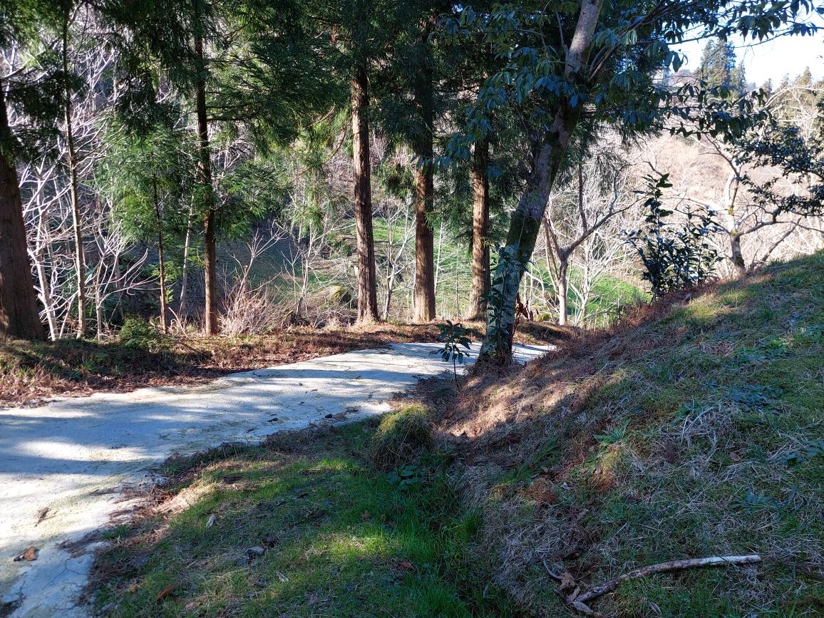 Land For Sale In Chakvi, 5,181 M² For $95,000 view 1