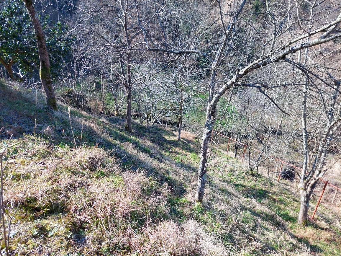 Land For Sale In Chakvi, 5,181 M² For $95,000 view 4