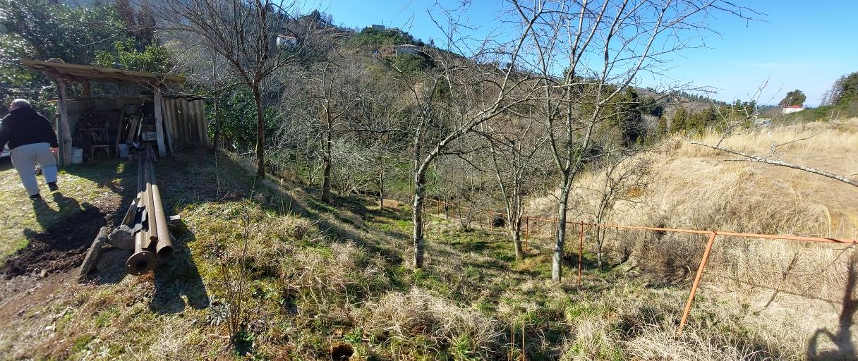 Land For Sale In Chakvi, 5,181 M² For $95,000 view 15
