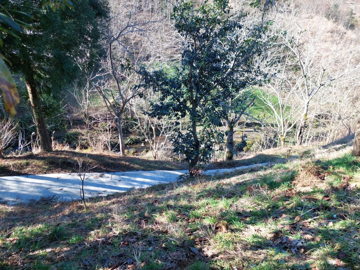 Land For Sale In Chakvi, 5,181 M² For $95,000 view 5