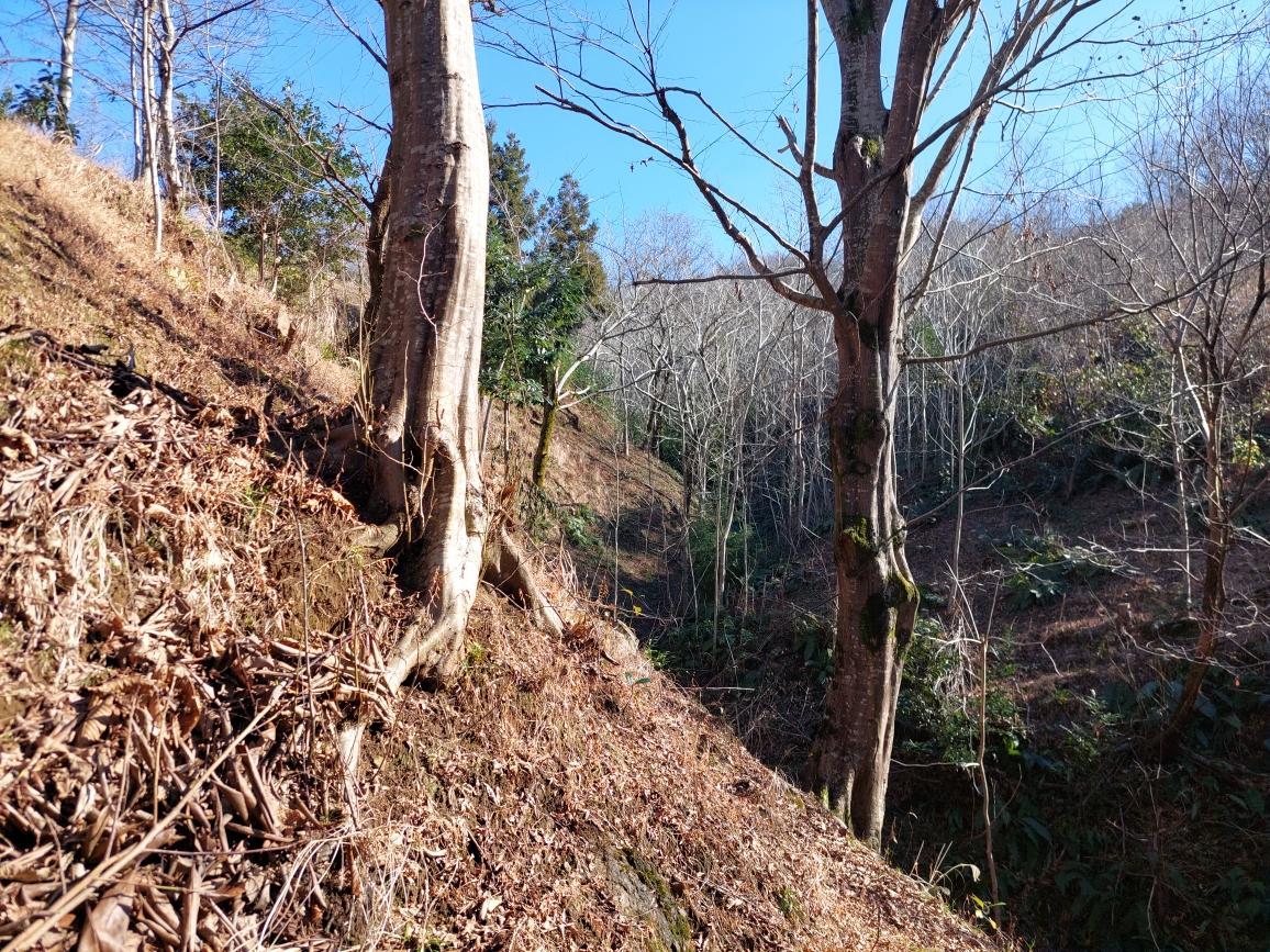 Land For Sale In Chakvi, 5,181 M² For $95,000 view 7